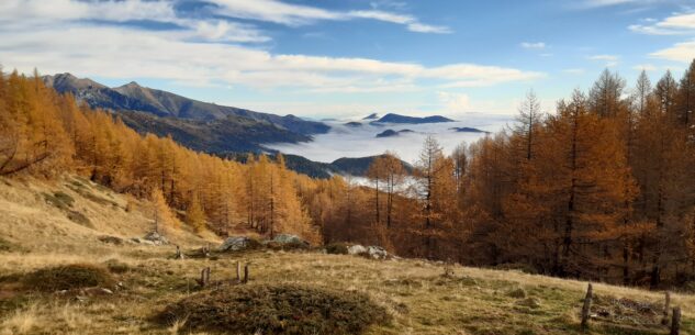 La Guida - Lotti boschivi in Valle Pesio e recuperi ambientali nelle Navette in Val Tanaro