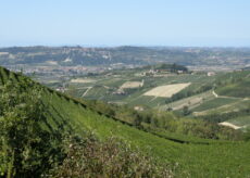 La Guida - Passeggiata tra le vigne alla scoperta dei “cru” del Barbaresco