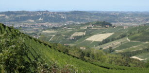La Guida - Passeggiata tra le vigne alla scoperta dei “cru” del Barbaresco