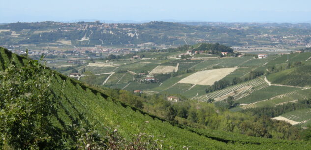 La Guida - Passeggiata tra le vigne alla scoperta dei “cru” del Barbaresco