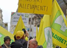 La Guida - “L’agricoltura non deve pagare per tutti”