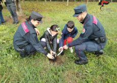 La Guida - Mille ragazzi coinvolti in Granda per la “Festa dell’albero”