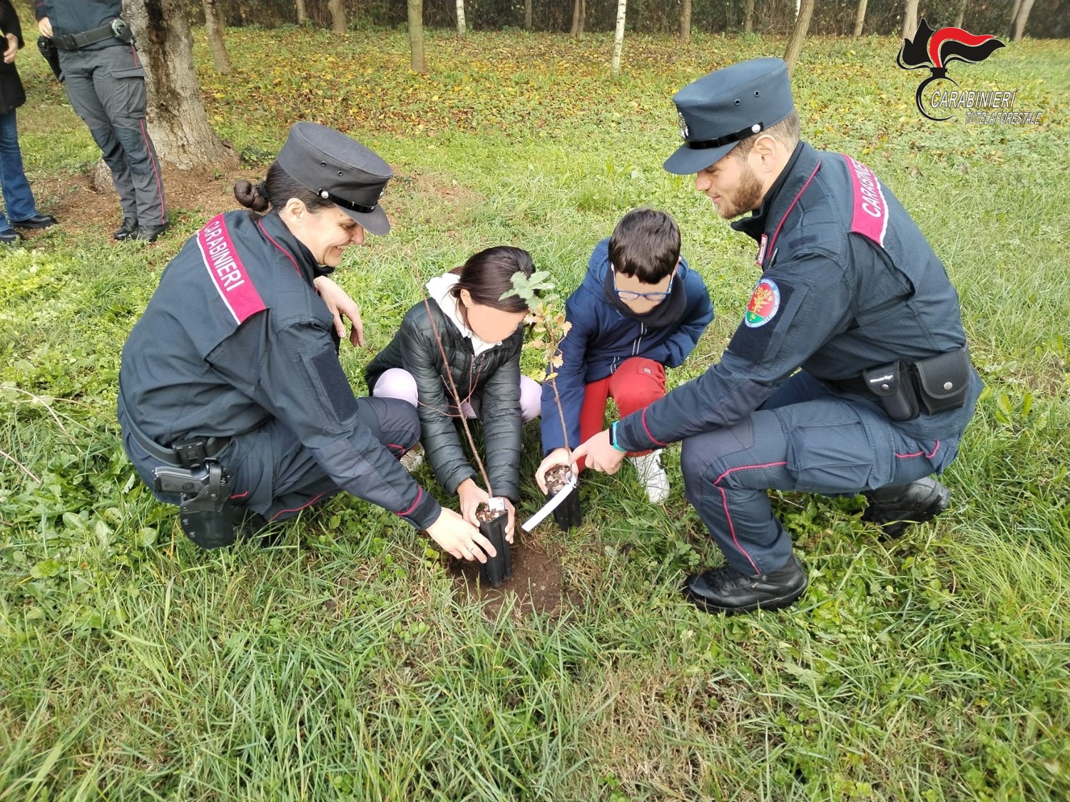 Mille ragazzi coinvolti in Granda per la “Festa dell’albero”