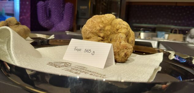 La Guida - Dalla valle Bormida di 565 grammi è il Tartufo Reale