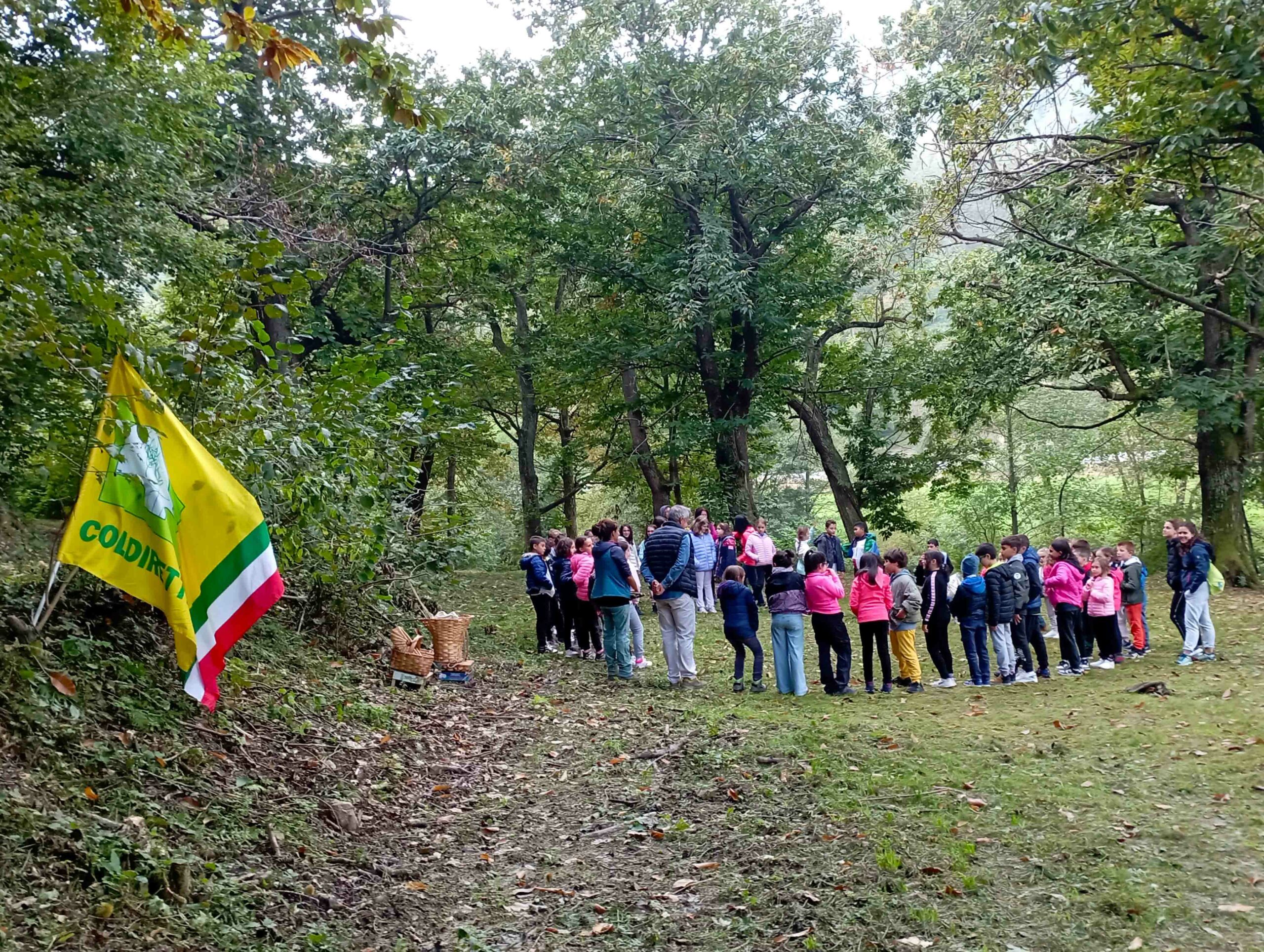 Prendersi cura dei boschi: a Lisio concluso il mese di formazione del progetto per bambini “La Fabbrica del Bosco”