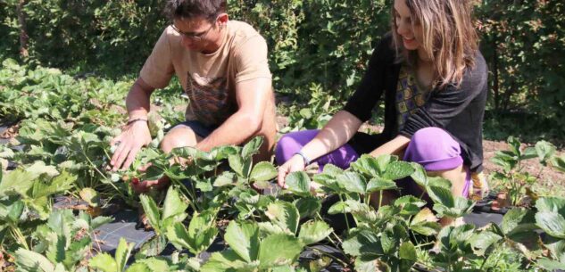 La Guida - Contributi regionali per l’insediamento di giovani agricoltori