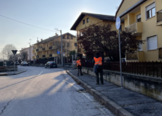 La Guida - Controlli contro il tarlo asiatico