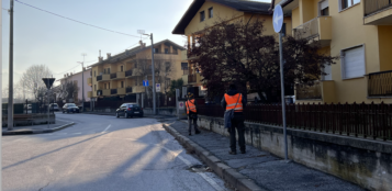 La Guida - Controlli contro il tarlo asiatico