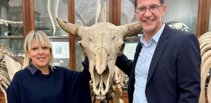 Per il Museo di Scienze di Torino 190.000 visitatori nel 2024 La Guida - Per il Museo di Scienze di Torino 190.000 visitatori nel 2024