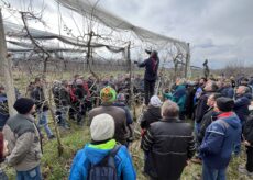 La Guida - Pollici verdi, orto, giardino e molto altro: torna il corso a Cuneo