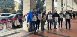 La Guida - Piazza Europa e i suoi cedri, immagini per dire no al rifacimento
