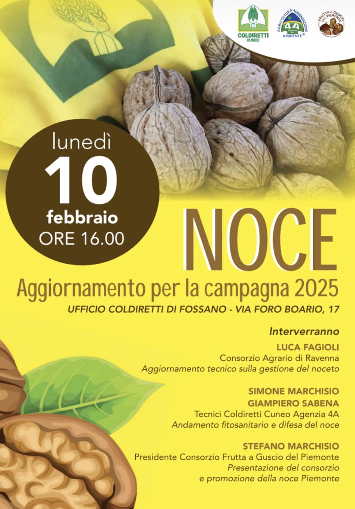 Noce, cresce l’interesse per la coltivazione in Granda