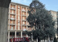 La Guida - Venerdì 21 le associazioni ambientaliste tornano in piazza Europa a Cuneo per dire no al taglio degli alberi