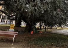 La Guida - Cuneo, manutenzione del verde pubblico nel piazzale della stazione