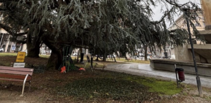 La Guida - Cuneo, manutenzione del verde pubblico nel piazzale della stazione