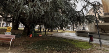 La Guida - Cuneo, manutenzione del verde pubblico nel piazzale della stazione