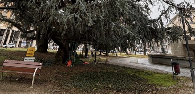 La Guida - Cuneo, manutenzione del verde pubblico nel piazzale della stazione