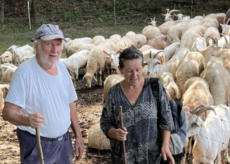 La Guida - La storia di Marita per tutti “a’ bergera”