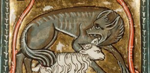 La Guida - La figura del lupo da simbolo di arroganza e prepotenza a evocazione della malvagità del demonio e di tutti