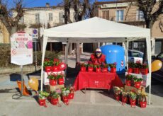 La Guida - Gardenie e ortensie per la sclerosi multipla