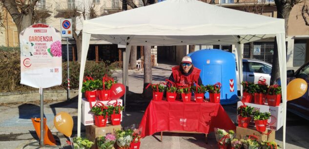 La Guida - Gardenie e ortensie per la sclerosi multipla