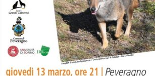 La Guida - Una serata “Alla scoperta del lupo”
