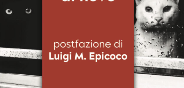 La Guida - Dal sopravvivere al vivere con gesti di semplicità