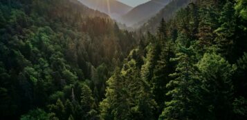 La Guida - Approvato il piano di gestione forestale che interessa tre comuni della valle Maira