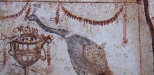 Il pavone e il suo straordinario piumaggio simbolo dell’eternità e del mondo inaccessibile di Dio La Guida - Il pavone e il suo straordinario piumaggio simbolo dell’eternità e del mondo inaccessibile di Dio