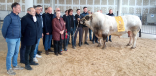 Mostra di Quaresima a Cuneo, ecco gli allevatori premiati La Guida - Mostra di Quaresima a Cuneo, ecco gli allevatori premiati