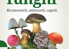 La Guida - La vita segreta dei funghi