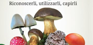 La Guida - La vita segreta dei funghi