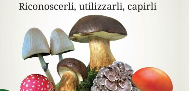 La Guida - La vita segreta dei funghi