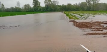 La Guida - La pioggia di questi giorni in Piemonte, come quella delle alluvioni 1994 e 2020