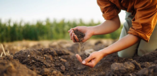 Giornata della biodiversità agraria a Rocca de’ Baldi La Guida - Giornata della biodiversità agraria a Rocca de’ Baldi