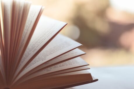 libro (foto Pixabay)