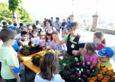 La Guida - Tanti fiori attorno a Monserrato grazie ai bambini delle scuole