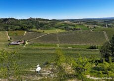 La Guida - Sentiero dei pini silvestri e del Cristo delle Rocche; salita al Gran Truc