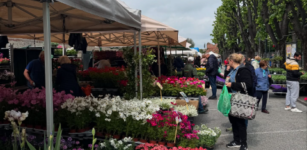 La Guida - A Fossano centinaia di stand di fiori per l’edizione 2025 di Expoflora