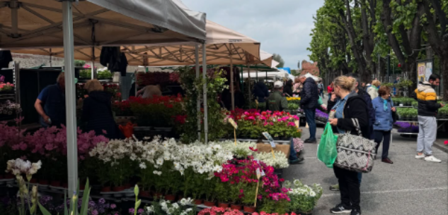 La Guida - A Fossano centinaia di stand di fiori per l’edizione 2025 di Expoflora