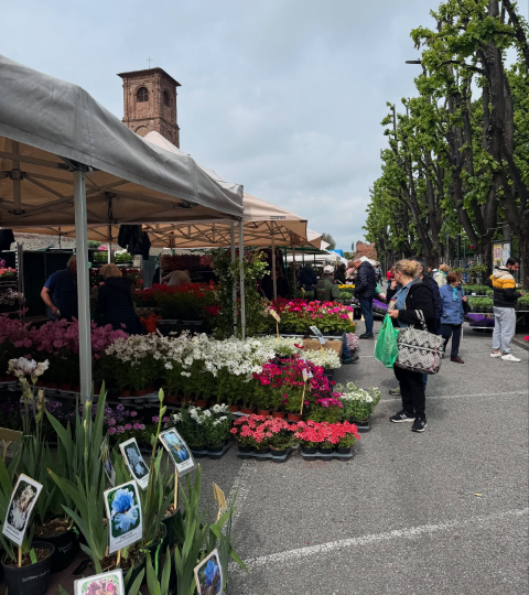 A Fossano centinaia di stand di fiori per l’edizione 2025 di Expoflora
