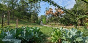 La Guida - Nel Parco Fluviale Gesso e Stura oltre 400 specie di animali e 850 di vegetali