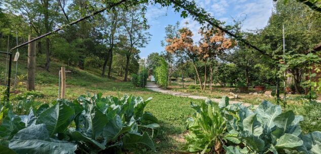 Nel Parco Fluviale Gesso e Stura oltre 400 specie di animali e 850 di vegetali La Guida - Nel Parco Fluviale Gesso e Stura oltre 400 specie di animali e 850 di vegetali