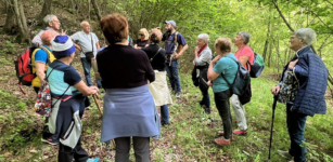Passeggiate escursionistiche con il progetto “Anziani In-forma” La Guida - Passeggiate escursionistiche con il progetto “Anziani In-forma”