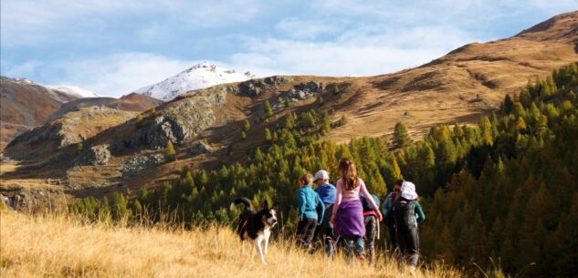 La Guida - Al via la 9ª edizione dei Trofei MaB Unesco della Riserva Transfrontaliera del Monviso