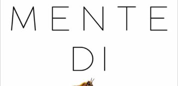 La Guida - L’ape e il suo mondo davvero sorprendente