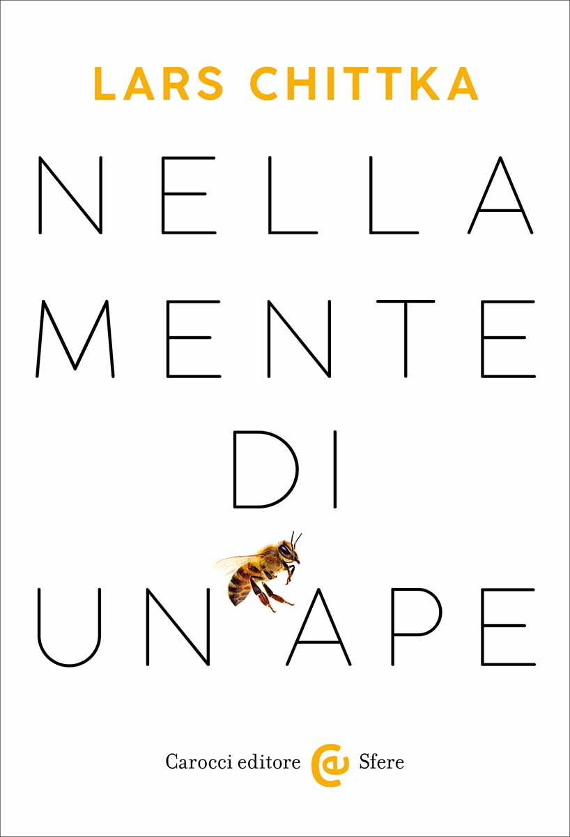La Guida - L’ape e il suo mondo davvero sorprendente
