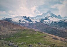 La Guida - Alla scoperta delle principali essenze spontanee nei pascoli di Oncino