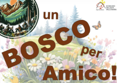 La Guida - Celle Macra, si tiene l’attività “Un bosco per amico!”