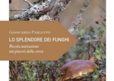 La Guida - Andar per funghi